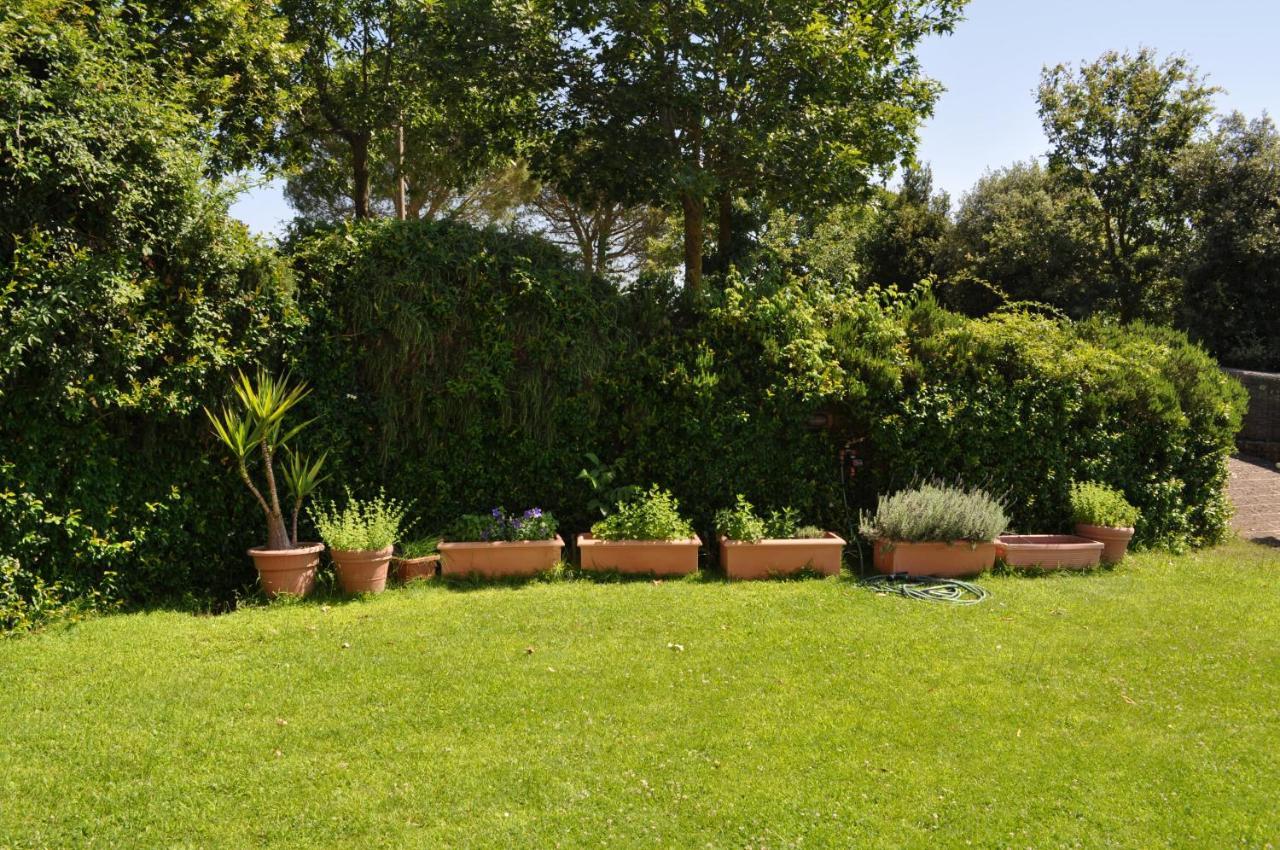 Casale Vicino Al Golf Nazionale Bed & Breakfast Monterosi Luaran gambar