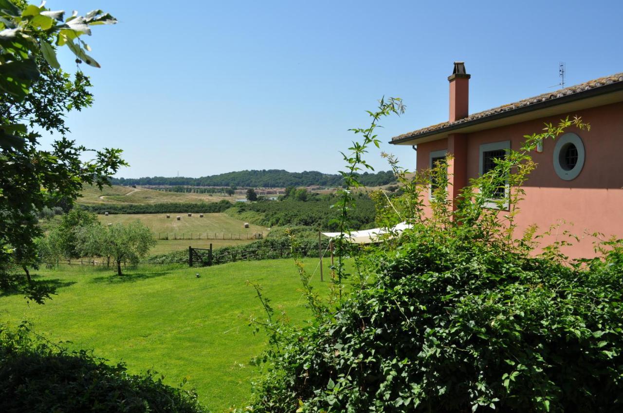 Casale Vicino Al Golf Nazionale Bed & Breakfast Monterosi Luaran gambar